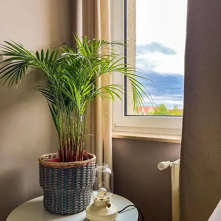 Prorsus Design Leipzig