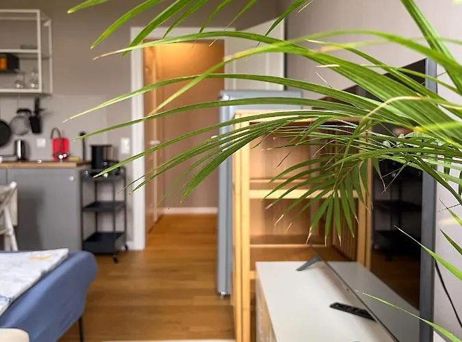 Prorsus Design * Leipzig