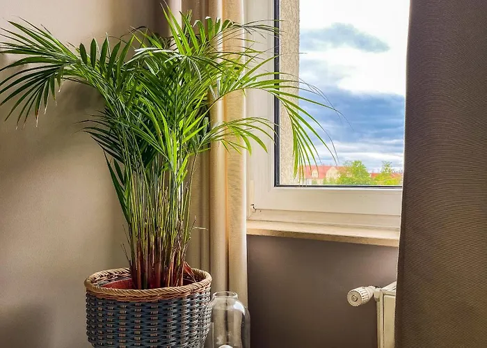 Prorsus Design Leipzig